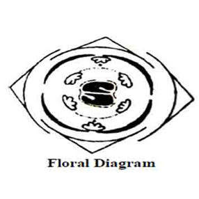 flora diagram
