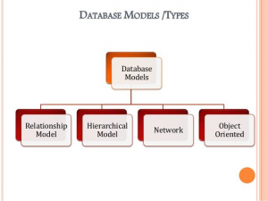 Database Models