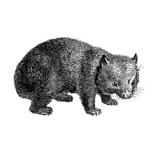 gatronalta profile picture