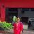 Sadhana Singh profile picture