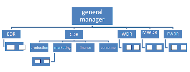 Meaning and Methods of Organization - TyroCity