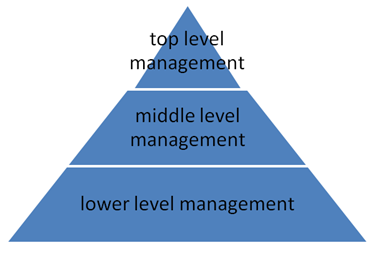level-of-management