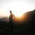 __42c2476bdf4cad3 profile image