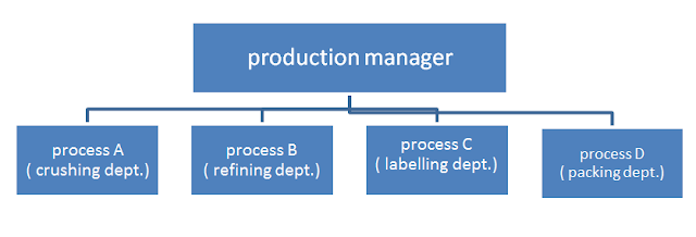 Departmentation by process