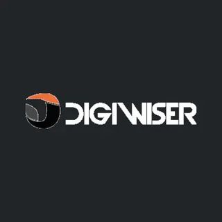 The Digiwiser profile picture