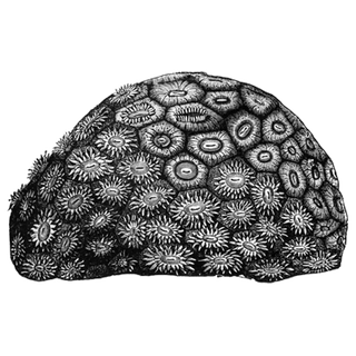 fetrojarta profile picture