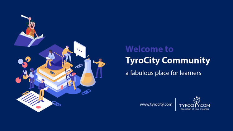 Cover image for Welcome to TyroCity.com
