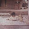 chindu addala profile picture