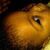 Antoinette Maphosa profile picture