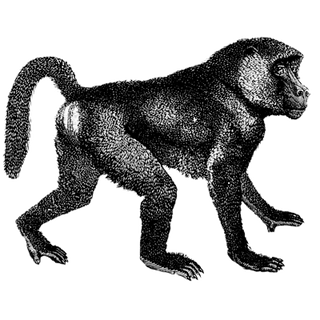 bidrayurti profile picture