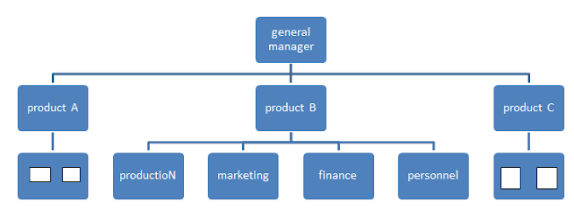 Departmentation by product or services