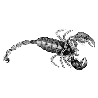 kafyahidre profile picture