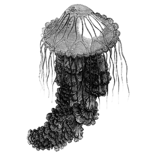 bedrikofye profile picture